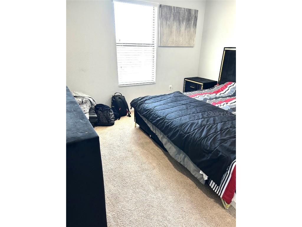 13809 Felix Will Road Riverview FL 33579 TB8437815 image47