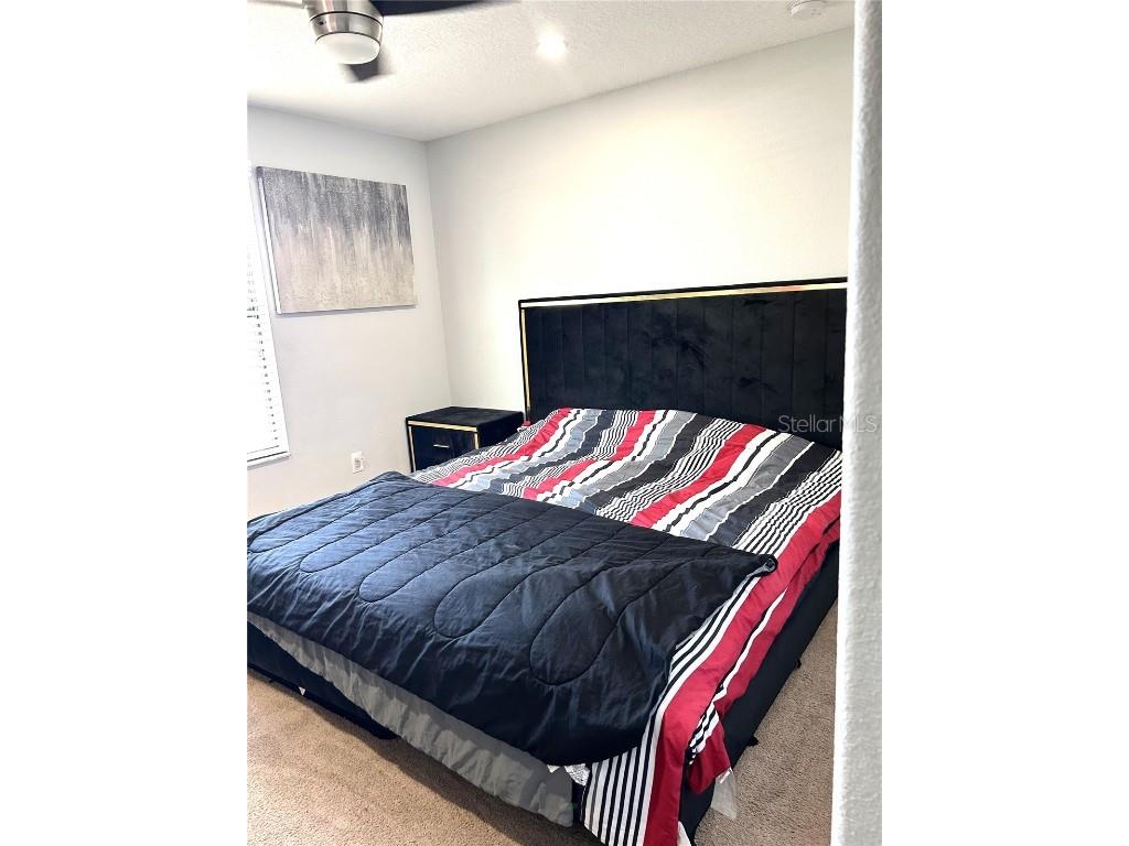 13809 Felix Will Road Riverview FL 33579 TB8437815 image48