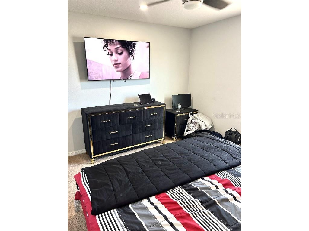 13809 Felix Will Road Riverview FL 33579 TB8437815 image49