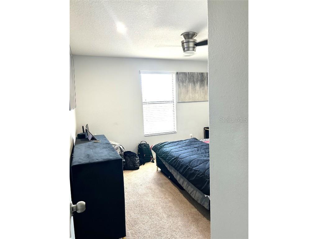 13809 Felix Will Road Riverview FL 33579 TB8437815 image51