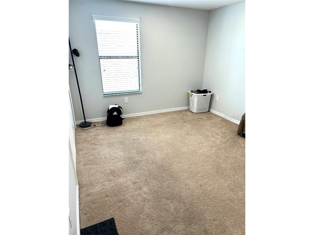 13809 Felix Will Road Riverview FL 33579 TB8437815 image55