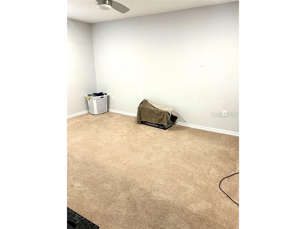 13809 Felix Will Road Riverview FL 33579 TB8437815 image56