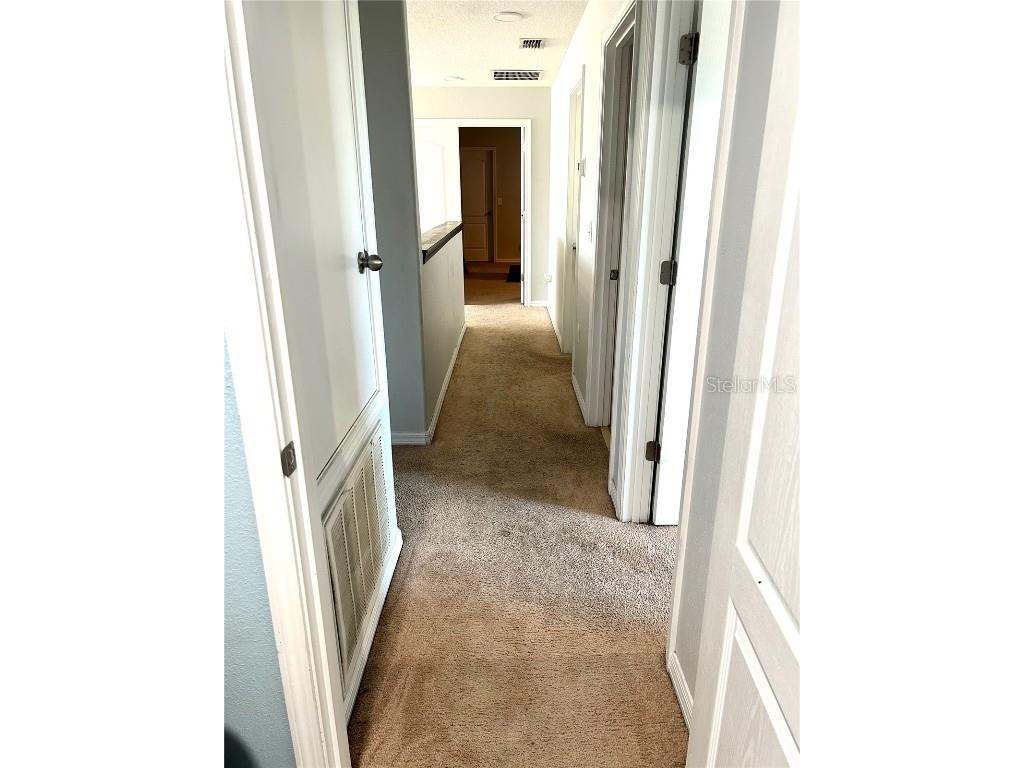 13809 Felix Will Road Riverview FL 33579 TB8437815 image60