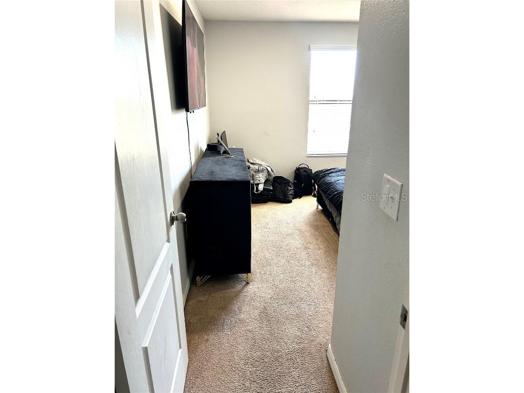 13809 Felix Will Road Riverview FL 33579 TB8437815 image62