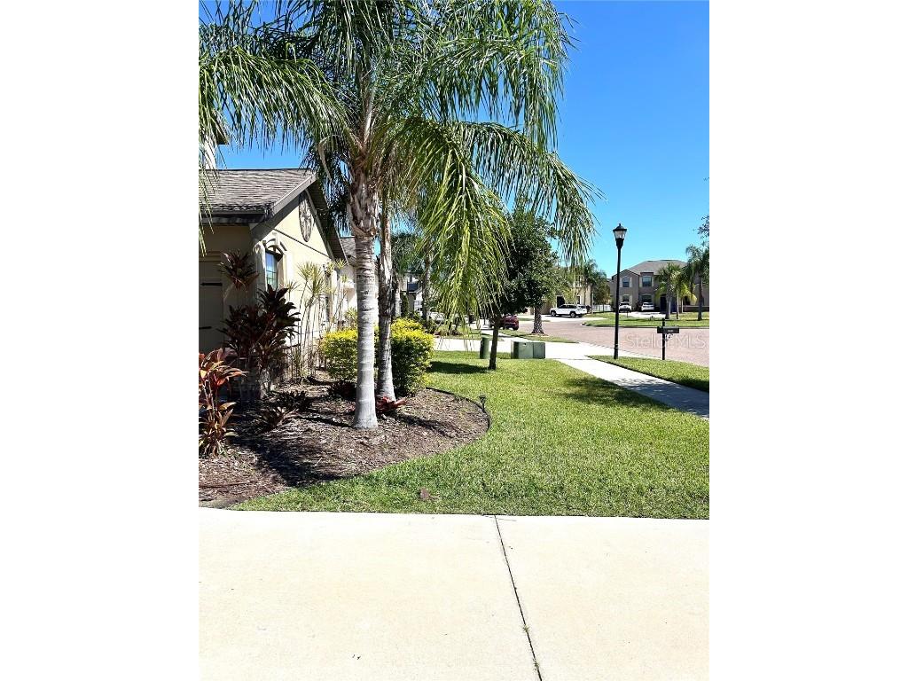 13809 Felix Will Road Riverview FL 33579 TB8437815 image75
