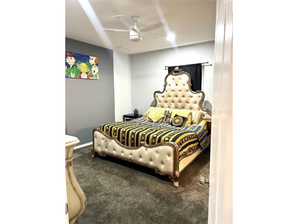 13809 Felix Will Road Riverview FL 33579 TB8437815 image9