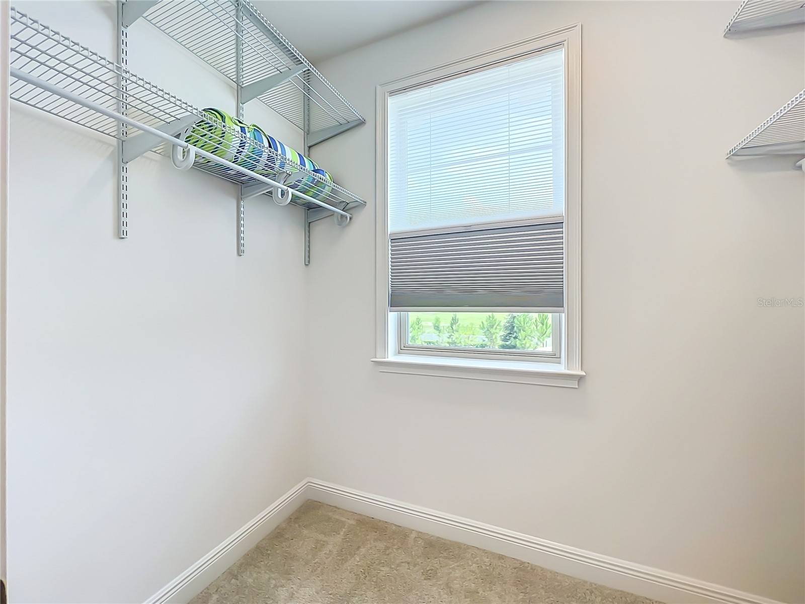 13809 Larkton Lane Orlando FL 32832 O6425041 image42