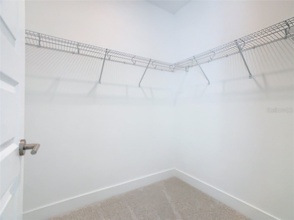 13809 Luna Harvest Ave. Winter Garden FL 34787 O6355224 image41