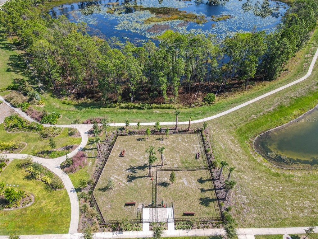 13809 Luna Harvest Ave. Winter Garden FL 34787 O6355224 image65