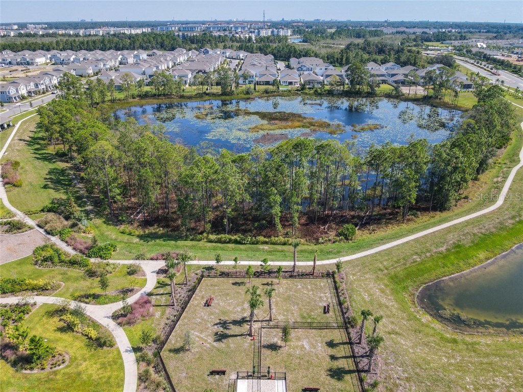 13809 Luna Harvest Ave. Winter Garden FL 34787 O6355224 image66