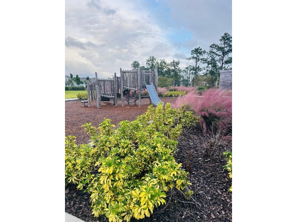 13809 Luna Harvest Ave. Winter Garden FL 34787 O6355224 image77