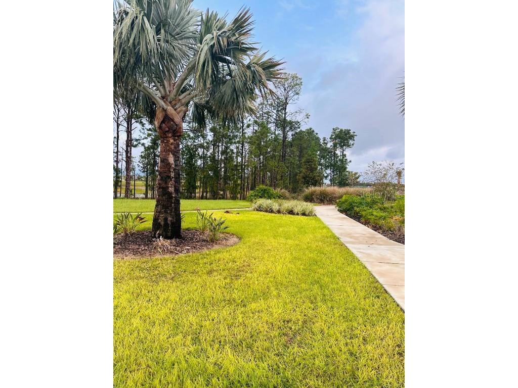 13809 Luna Harvest Ave. Winter Garden FL 34787 O6355224 image79