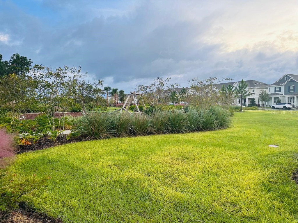 13809 Luna Harvest Ave. Winter Garden FL 34787 O6355224 image82