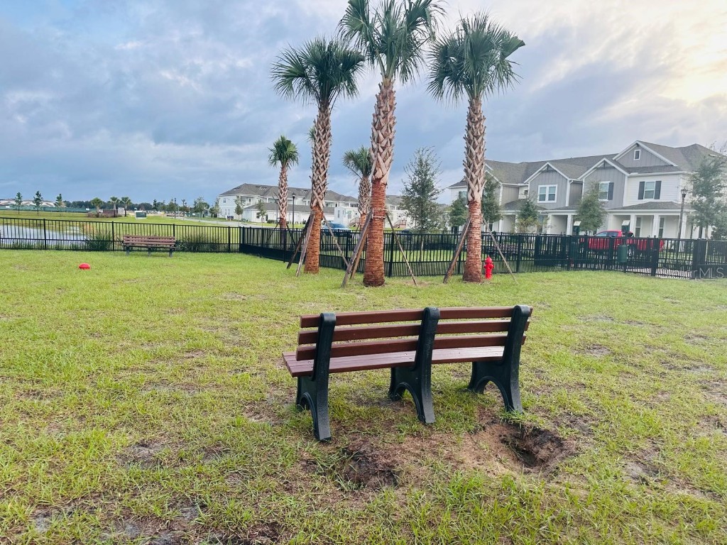 13809 Luna Harvest Ave. Winter Garden FL 34787 O6355224 image85