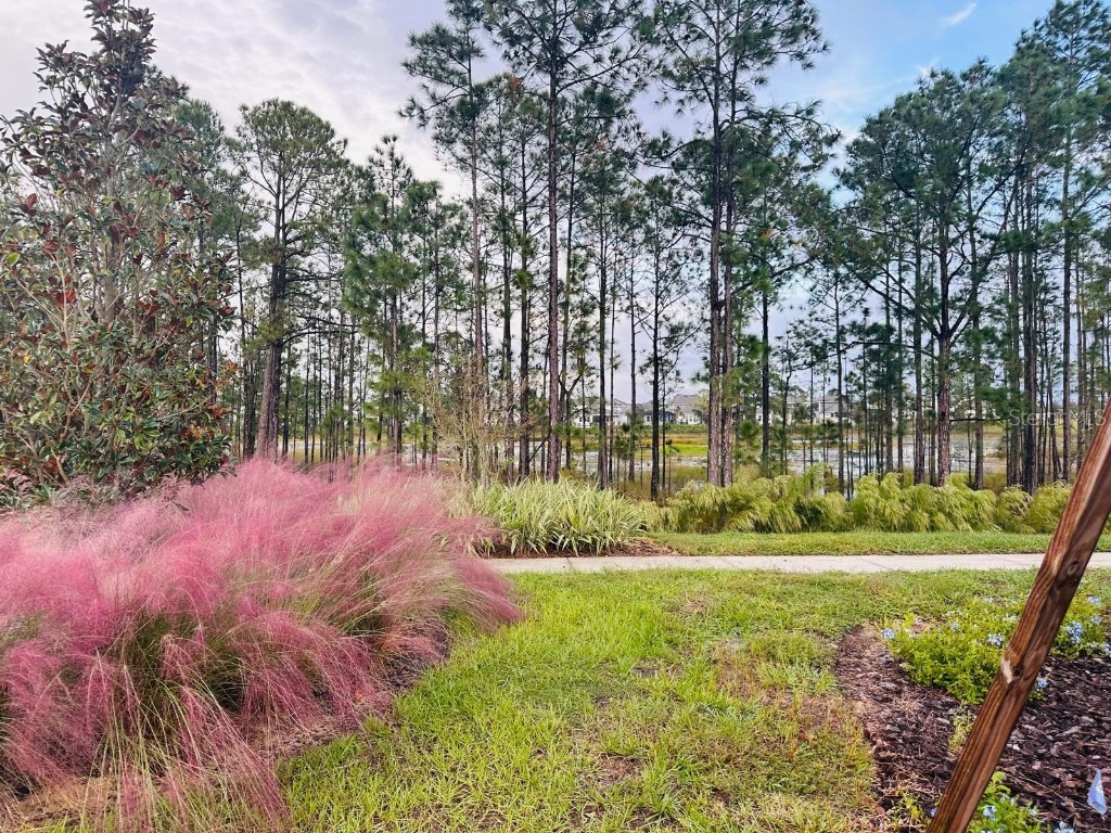 13809 Luna Harvest Ave. Winter Garden FL 34787 O6355224 image87