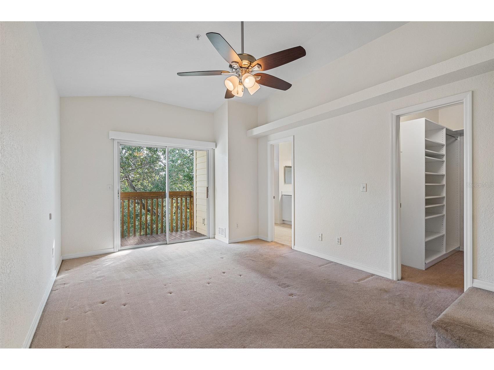 1381 Curlew Road Dunedin FL 34698 TB8511550 image22