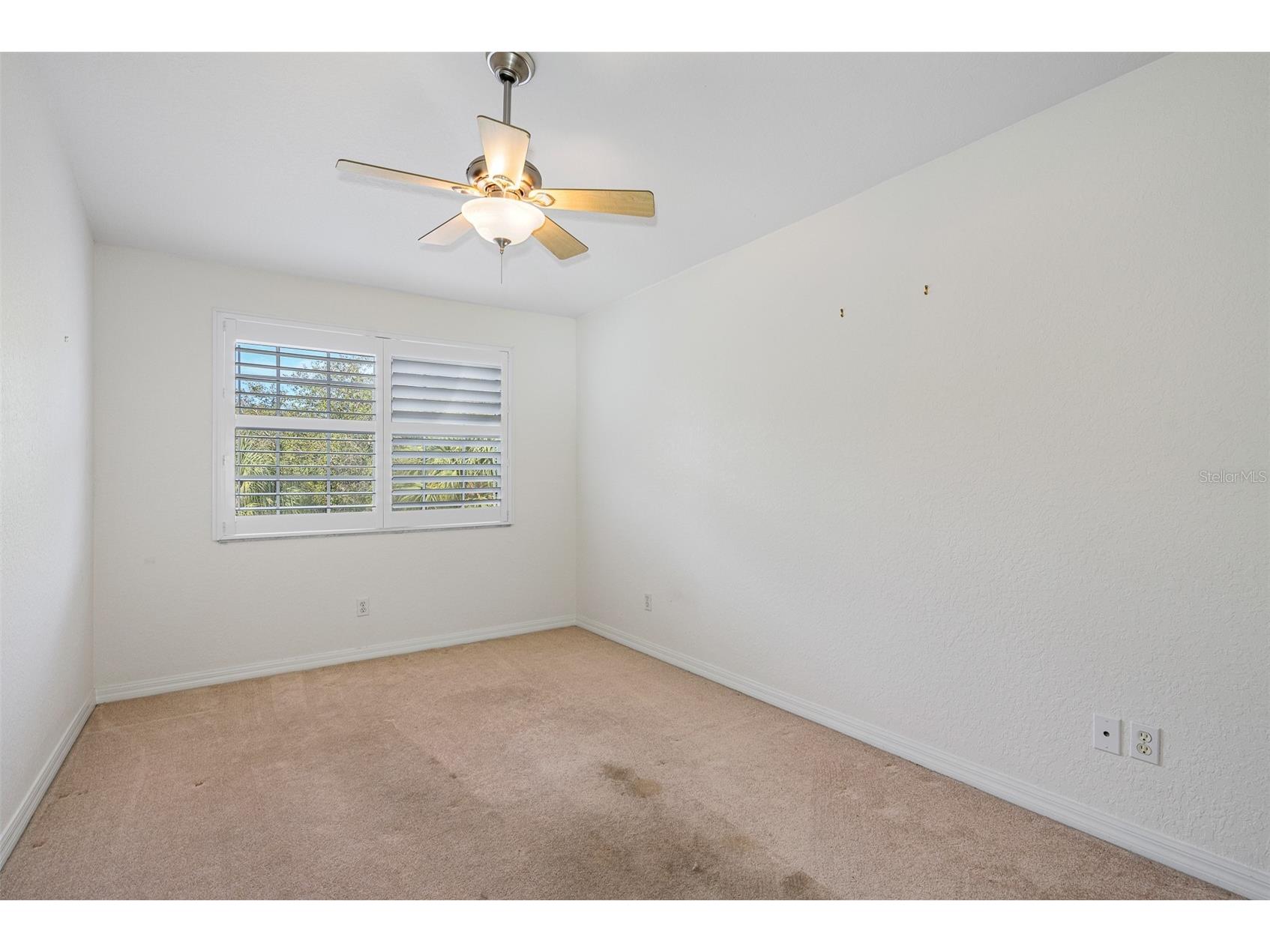 1381 Curlew Road Dunedin FL 34698 TB8511550 image28