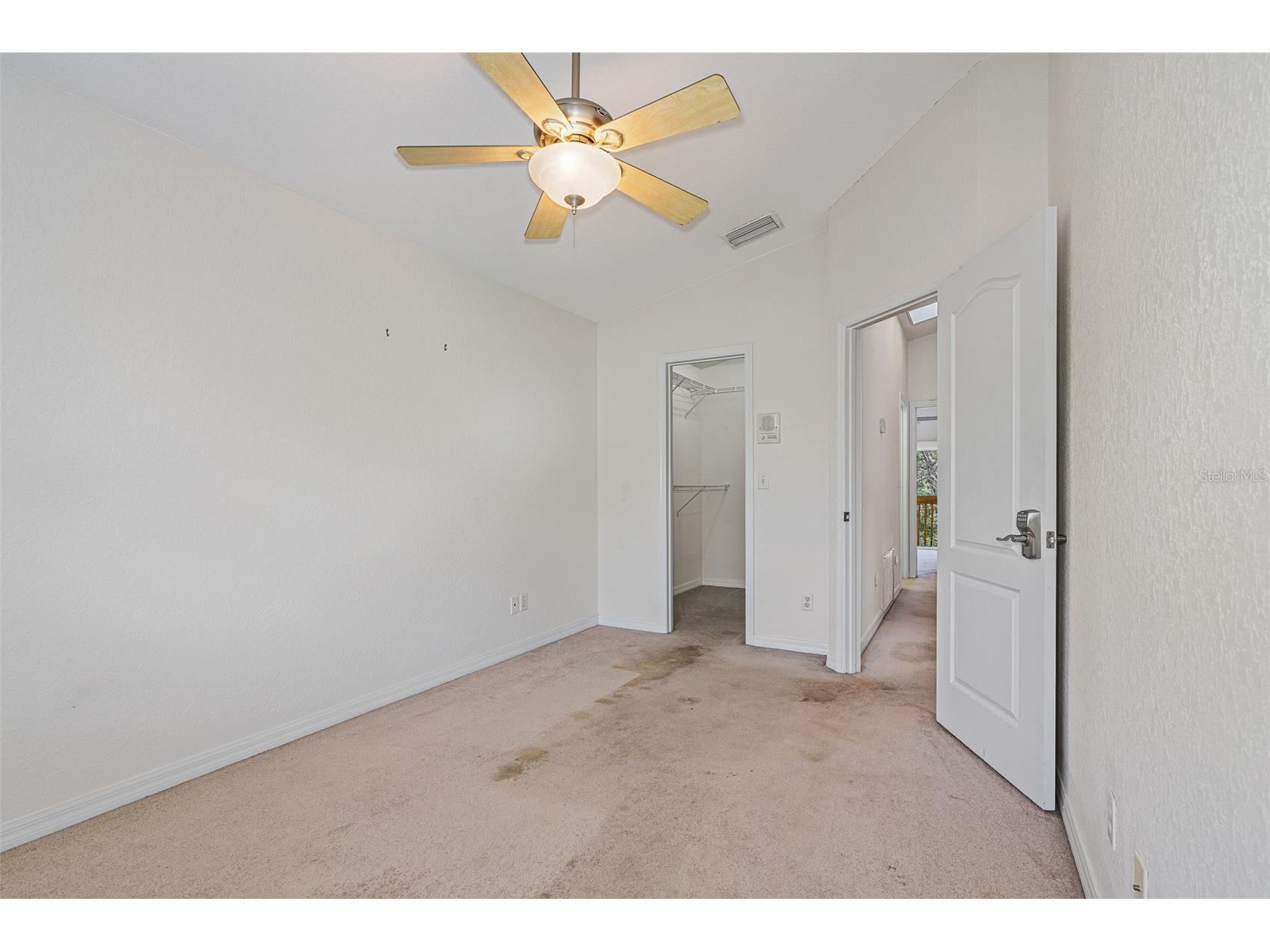 1381 Curlew Road Dunedin FL 34698 TB8511550 image29