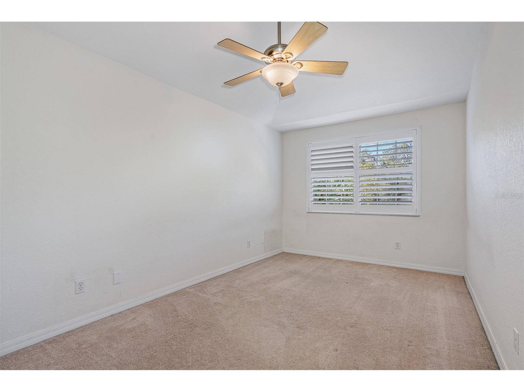 1381 Curlew Road Dunedin FL 34698 TB8511550 image30