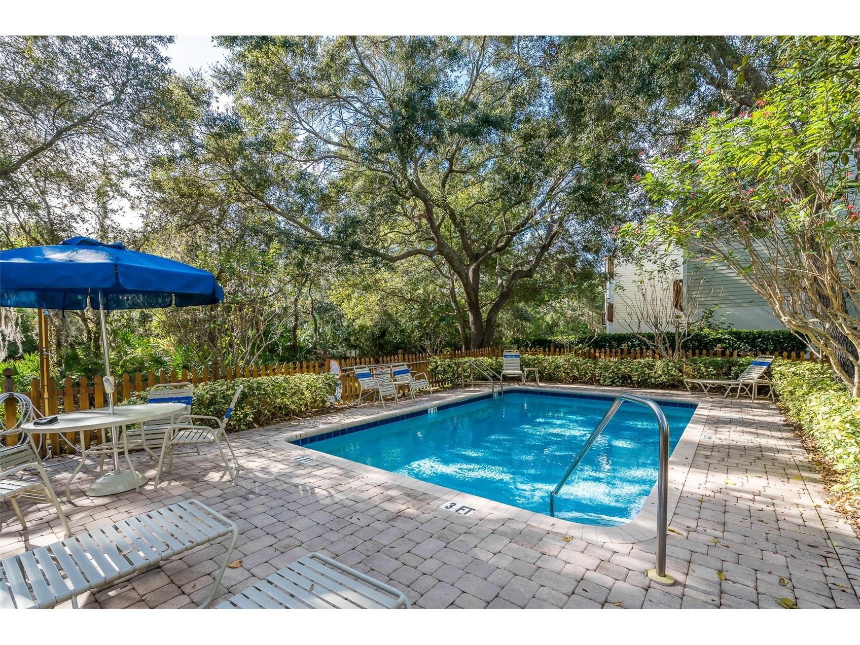 1381 Curlew Road Dunedin FL 34698 TB8511550 image32