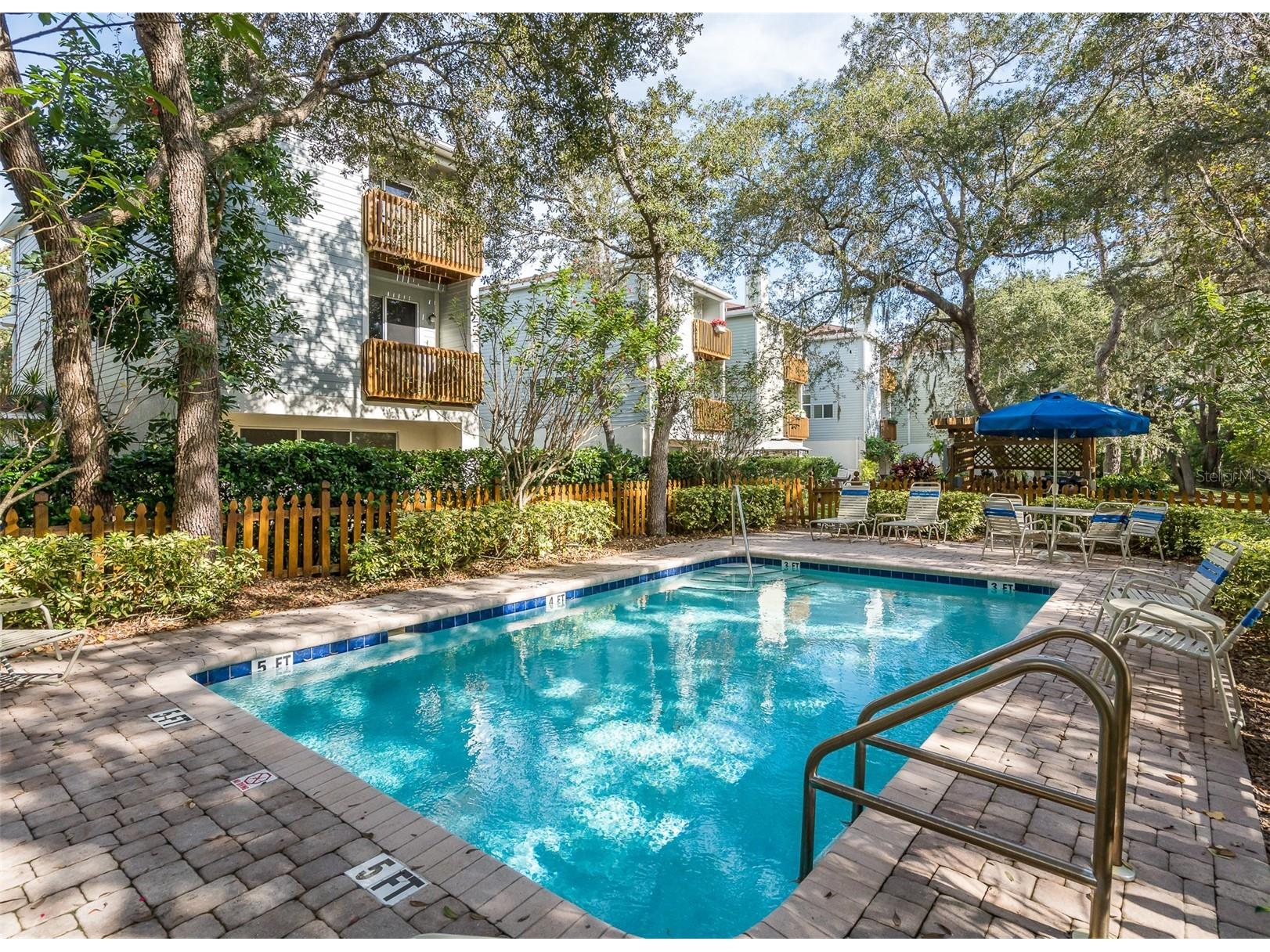 1381 Curlew Road Dunedin FL 34698 TB8511550 image33