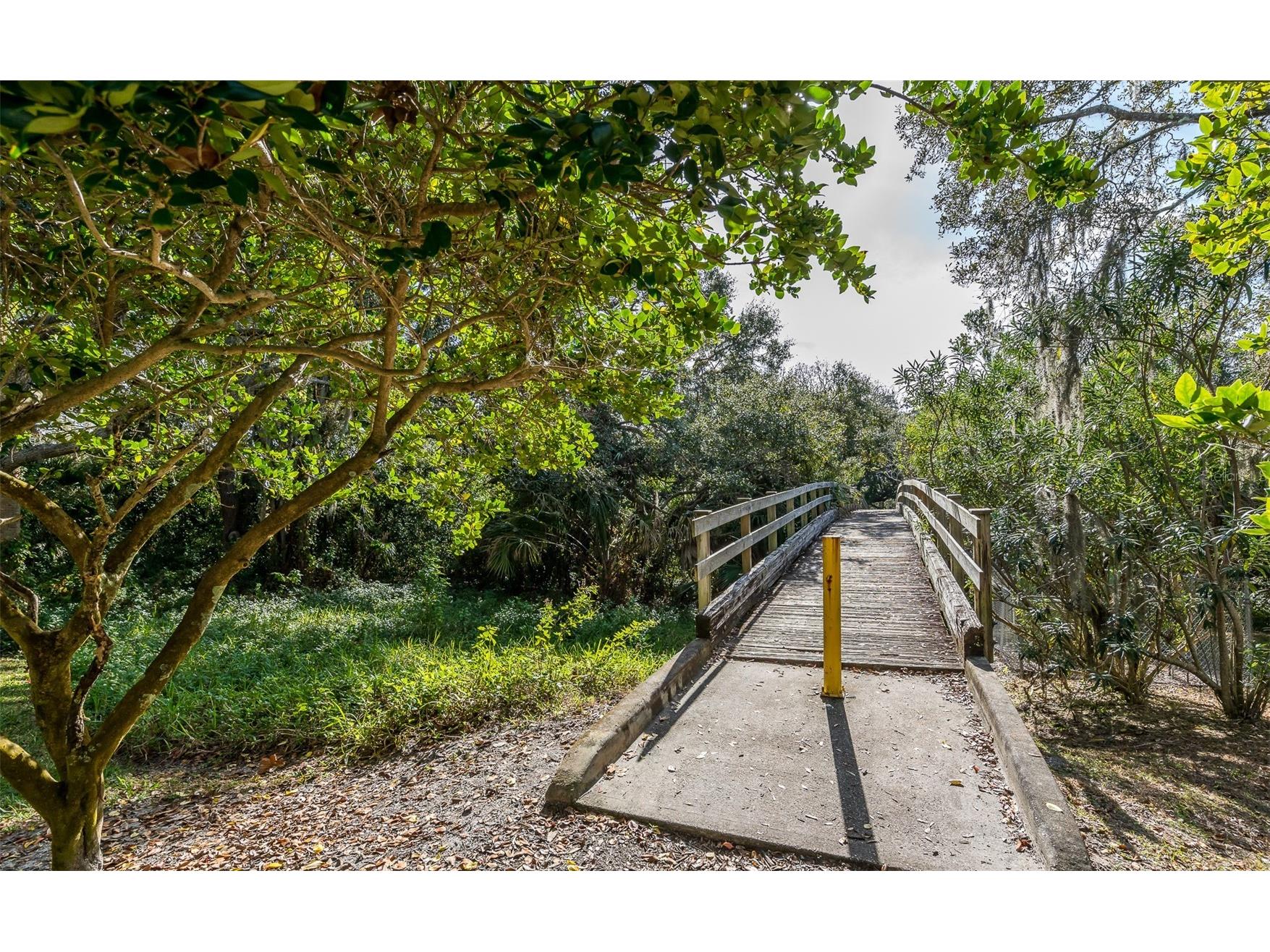 1381 Curlew Road Dunedin FL 34698 TB8511550 image35