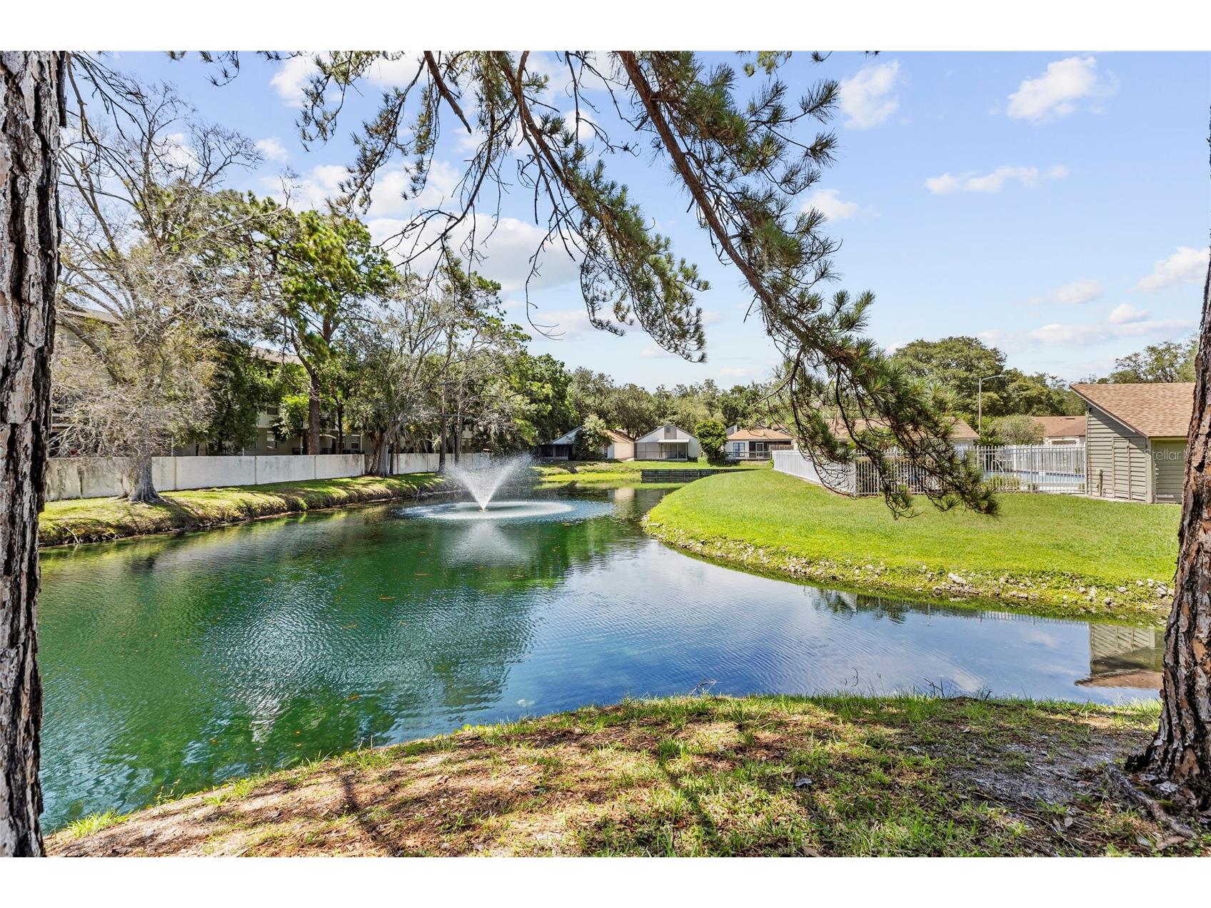 13810 Lazy Oak Drive #48 Tampa FL 33613 TB8519671 image42