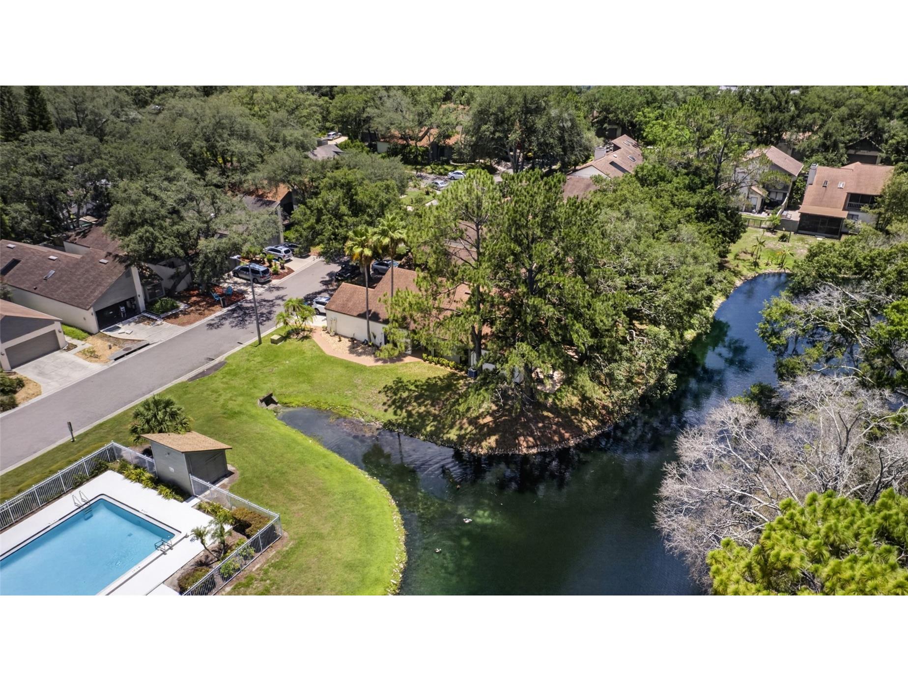 13810 Lazy Oak Drive #48 Tampa FL 33613 TB8519671 image48