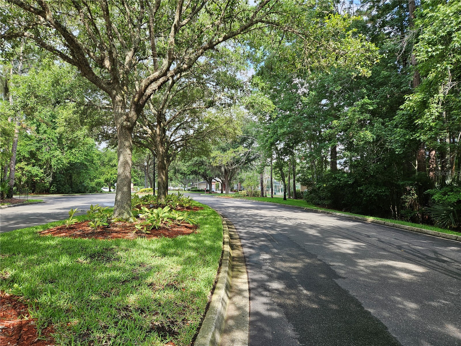 13810 Sutton Park Drive N #738 Jacksonville FL 32224 TB8516551 image32