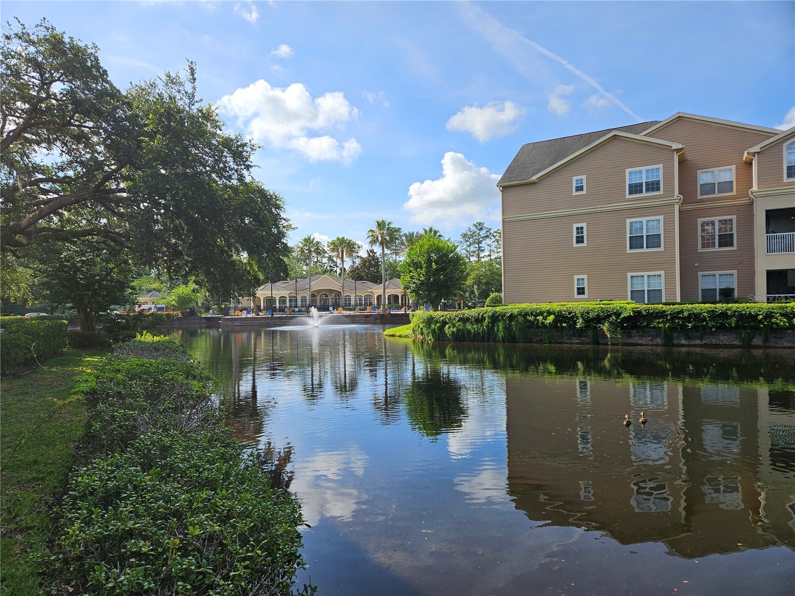 13810 Sutton Park Drive N #738 Jacksonville FL 32224 TB8516551 image56