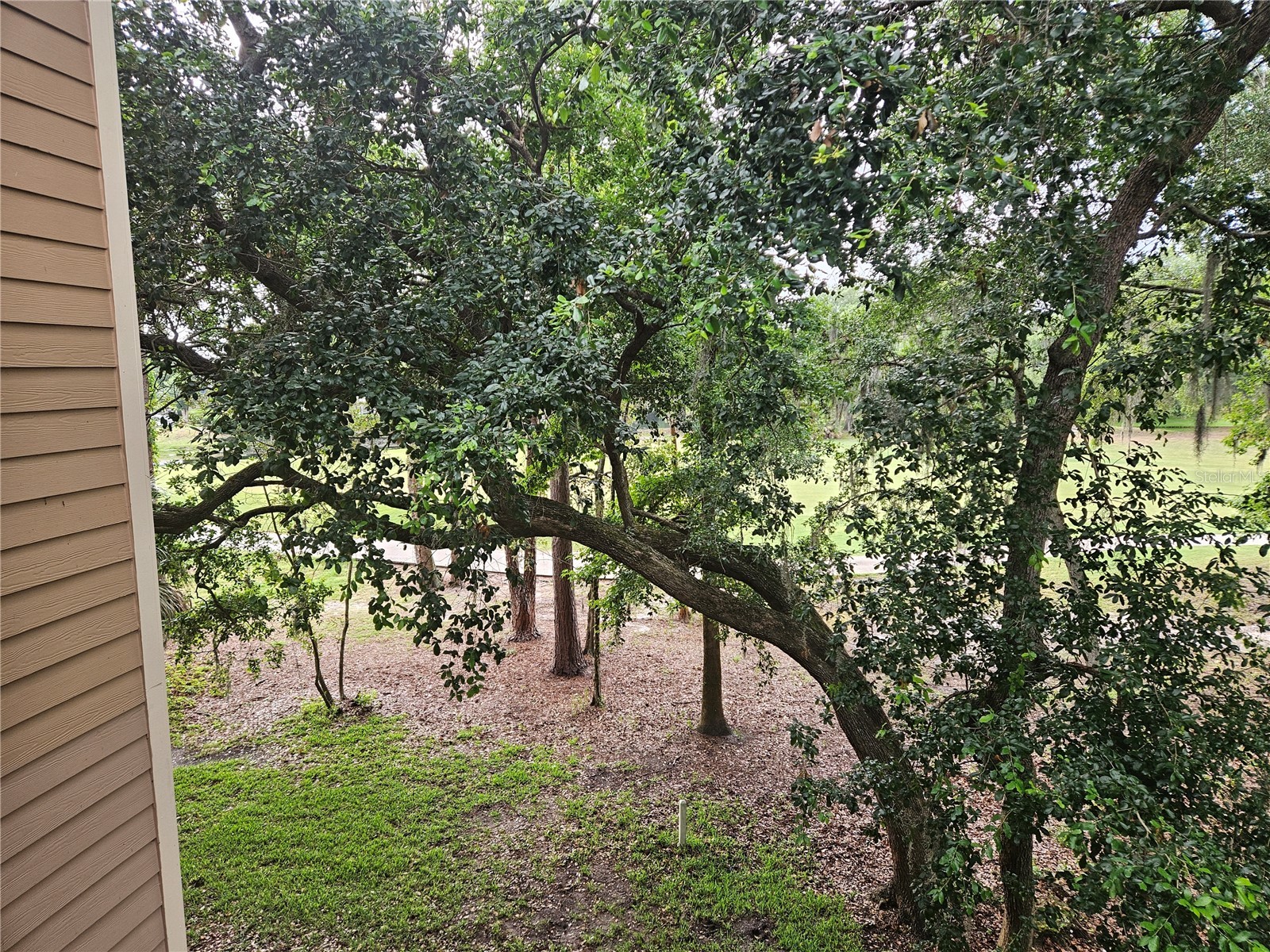 13810 Sutton Park Drive N #738 Jacksonville FL 32224 TB8516551 image59