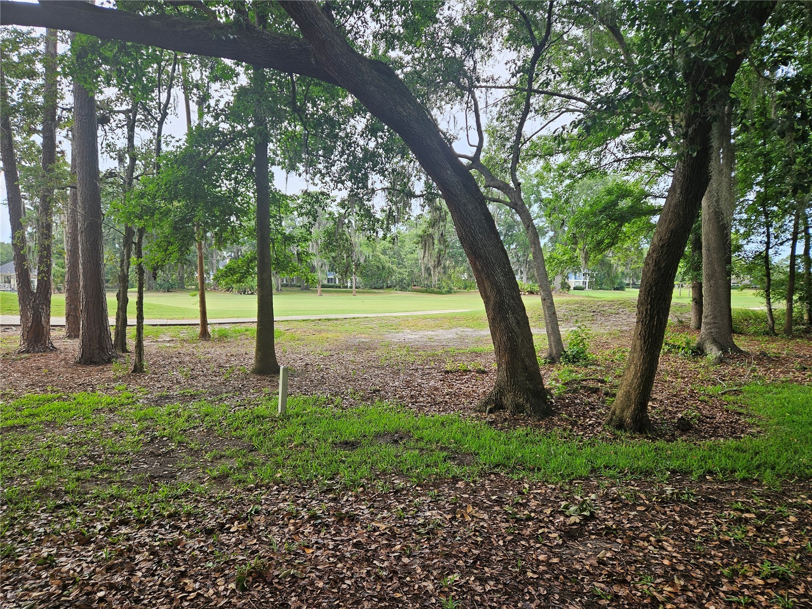 13810 Sutton Park Drive N #738 Jacksonville FL 32224 TB8516551 image60