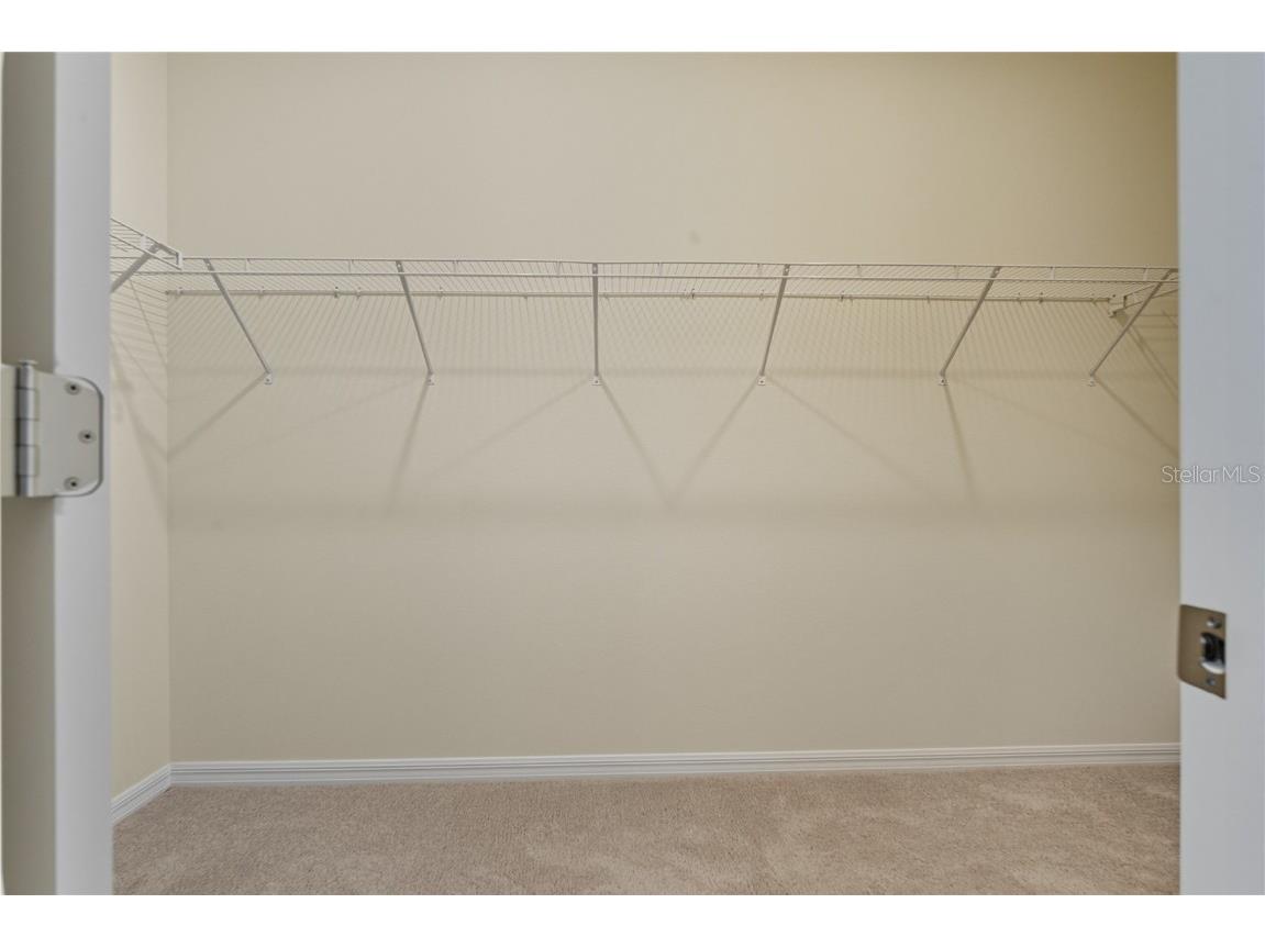 13811 Whiskey Daisy Drive Dade City FL 33525 TB8412214 image28