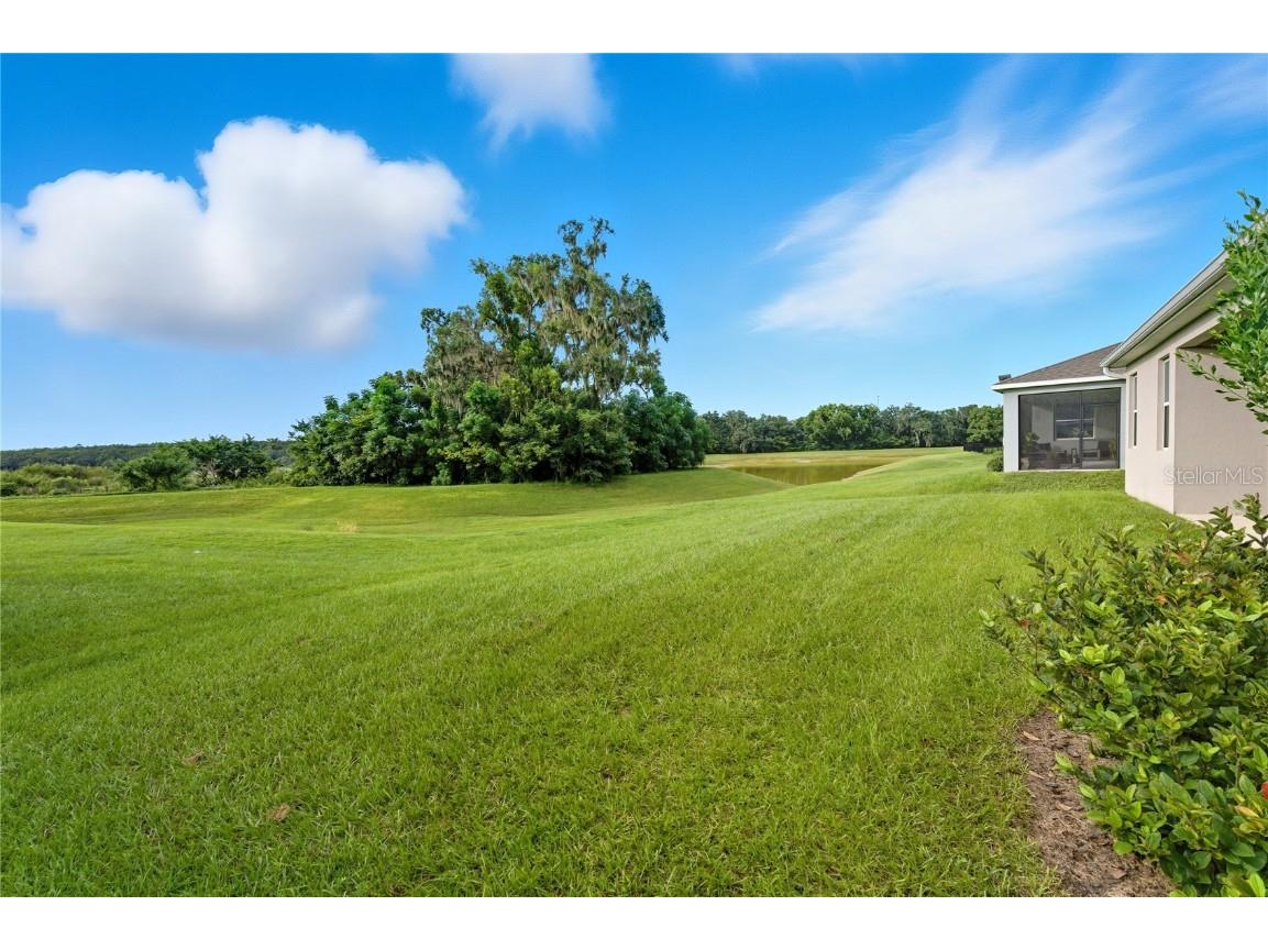 13811 Whiskey Daisy Drive Dade City FL 33525 TB8412214 image37