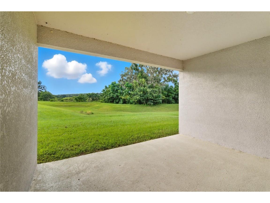 13811 Whiskey Daisy Drive Dade City FL 33525 TB8412214 image41