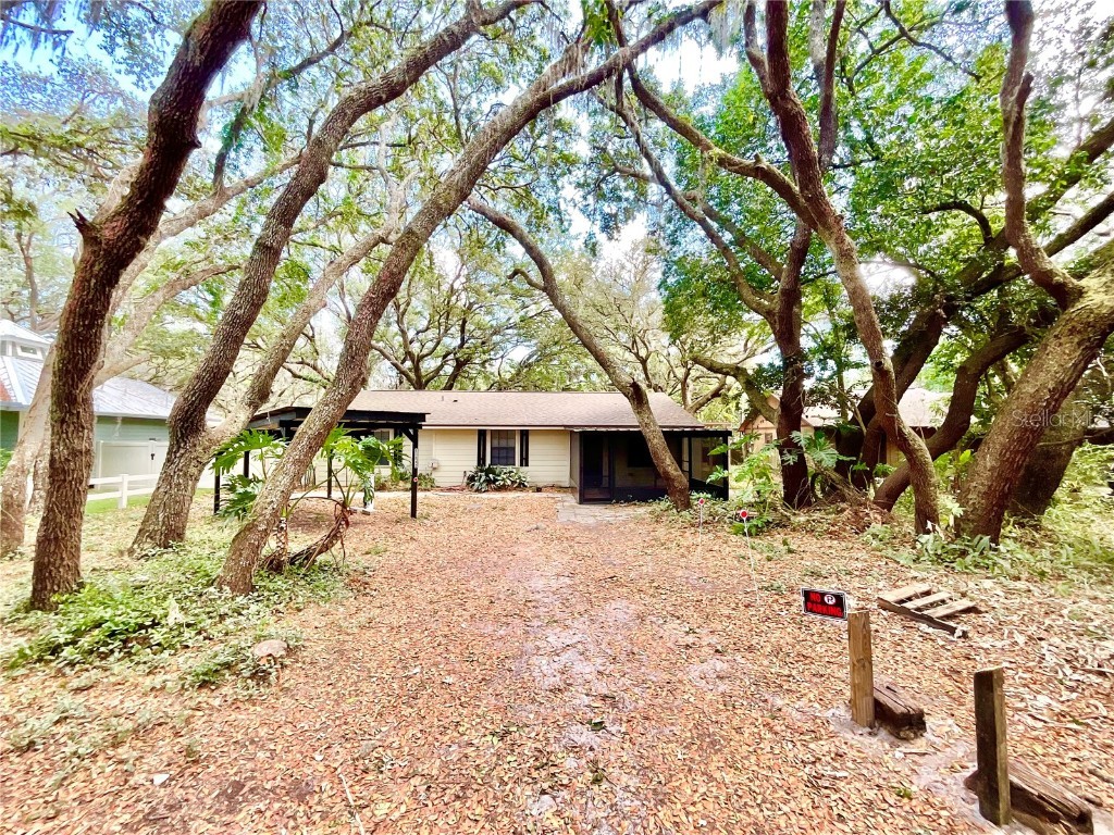 13812 Nice Lane Odessa FL 33556 U8197883 image1