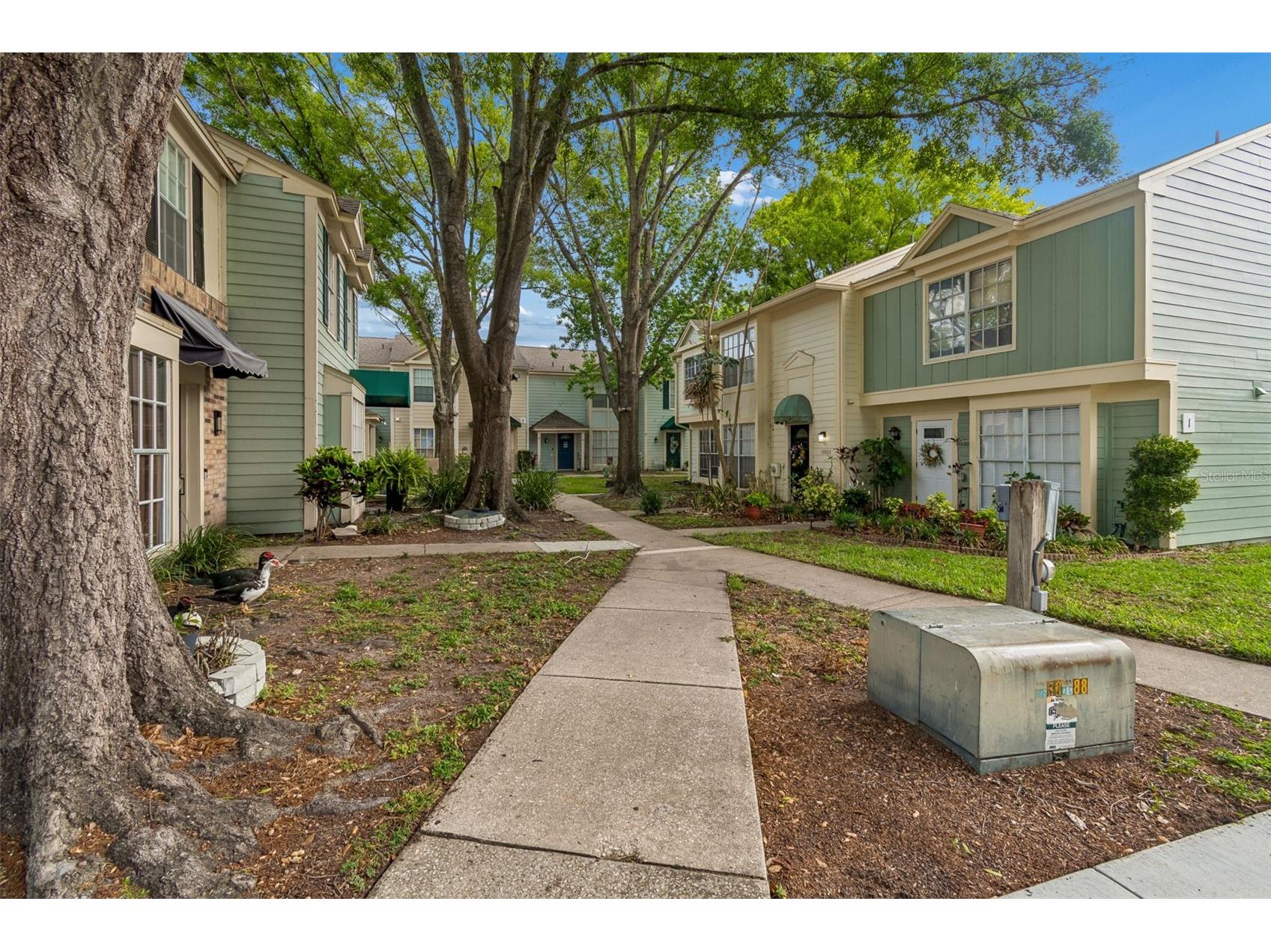 13813 Fletchers Mill Drive Tampa FL 33613 TB8502099 image3