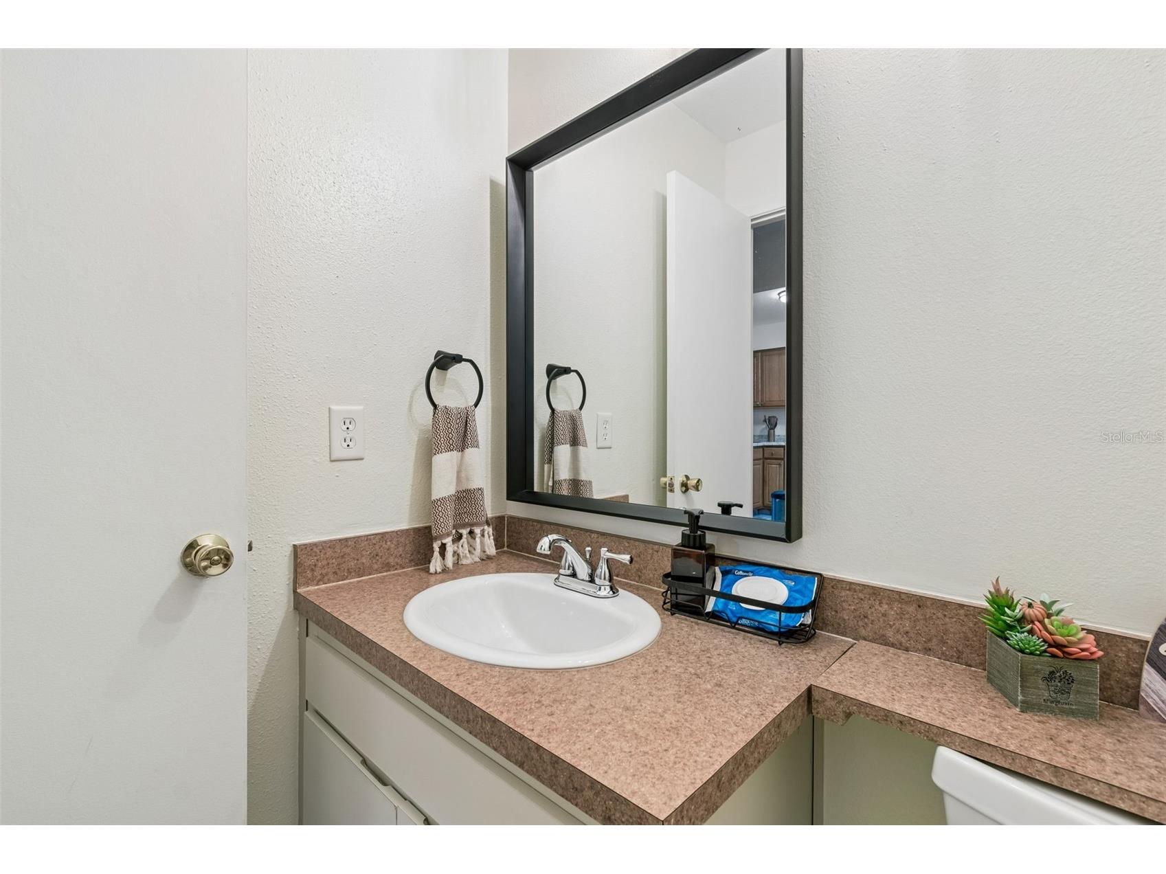 13813 Fletchers Mill Drive Tampa FL 33613 TB8502099 image36