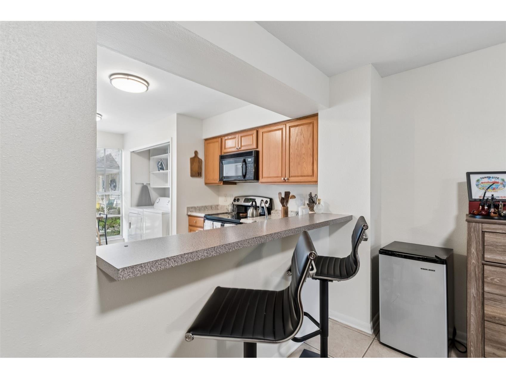 13813 Fletchers Mill Drive Tampa FL 33613 TB8502099 image50