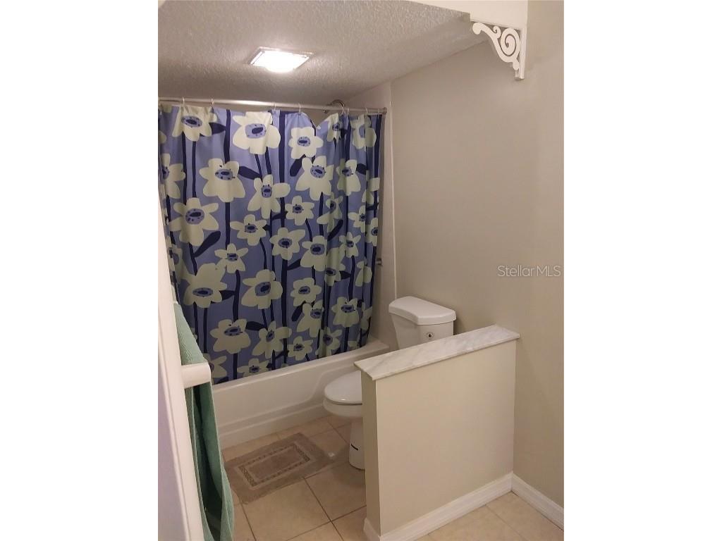 13813 Mission Oaks Boulevard Seminole FL 33776 A4668021 image5