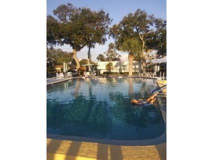 13813 Mission Oaks Boulevard Seminole FL 33776 A4668021 image6