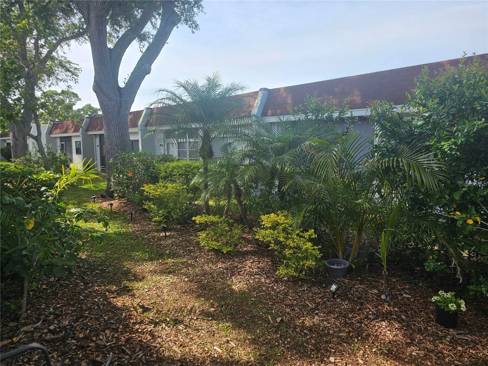 13813 Mission Oaks Boulevard Seminole FL 33776 TB8372105 image30