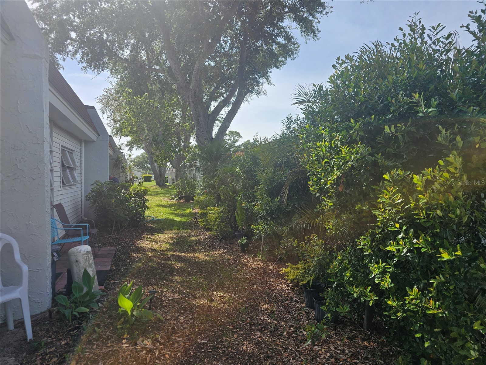 13813 Mission Oaks Boulevard Seminole FL 33776 TB8372105 image31