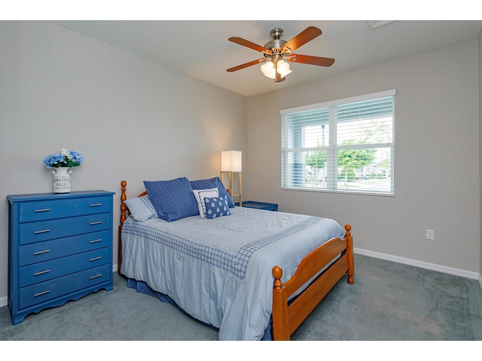 13813 Peach Orchard Way Winter Garden FL 34787 O6392351 image22