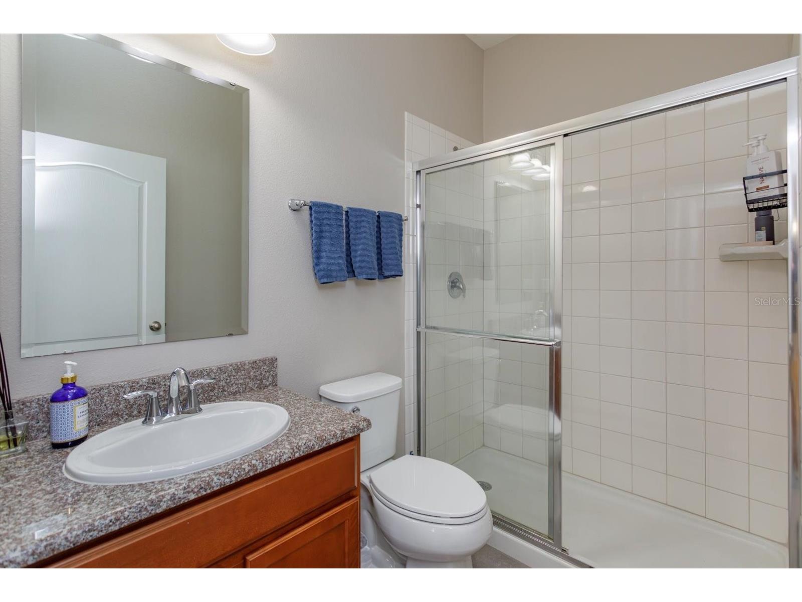 13813 Peach Orchard Way Winter Garden FL 34787 O6392351 image23