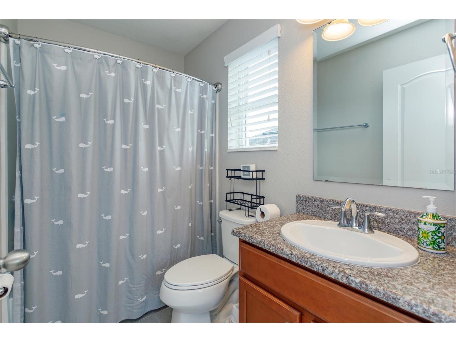 13813 Peach Orchard Way Winter Garden FL 34787 O6392351 image25
