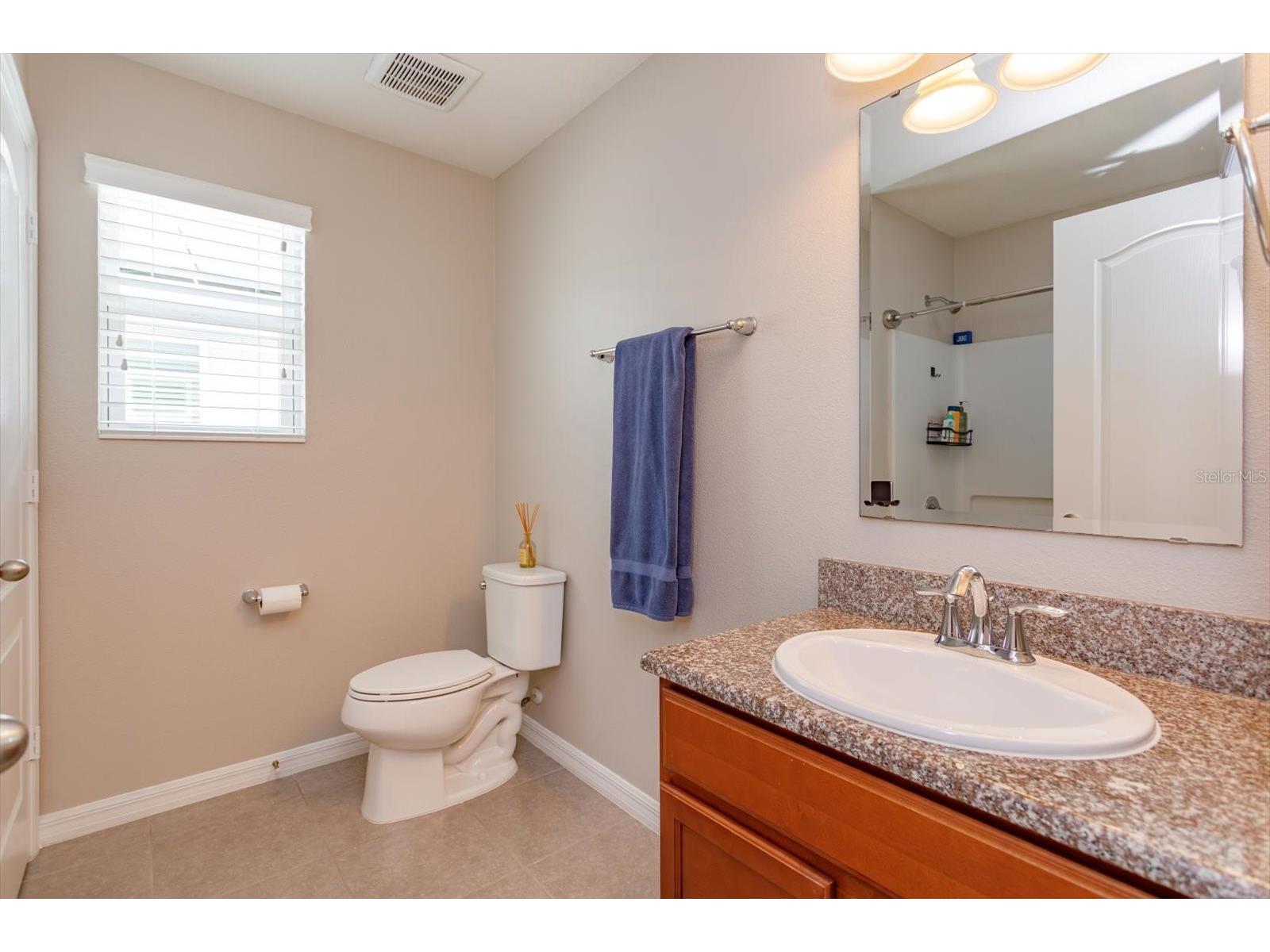 13813 Peach Orchard Way Winter Garden FL 34787 O6392351 image27