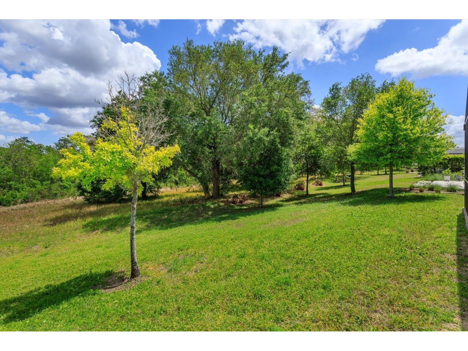 13813 Peach Orchard Way Winter Garden FL 34787 O6392351 image38