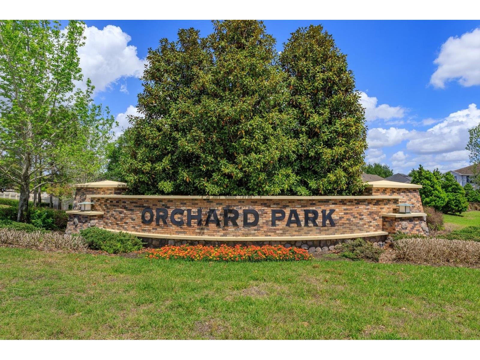 13813 Peach Orchard Way Winter Garden FL 34787 O6392351 image40