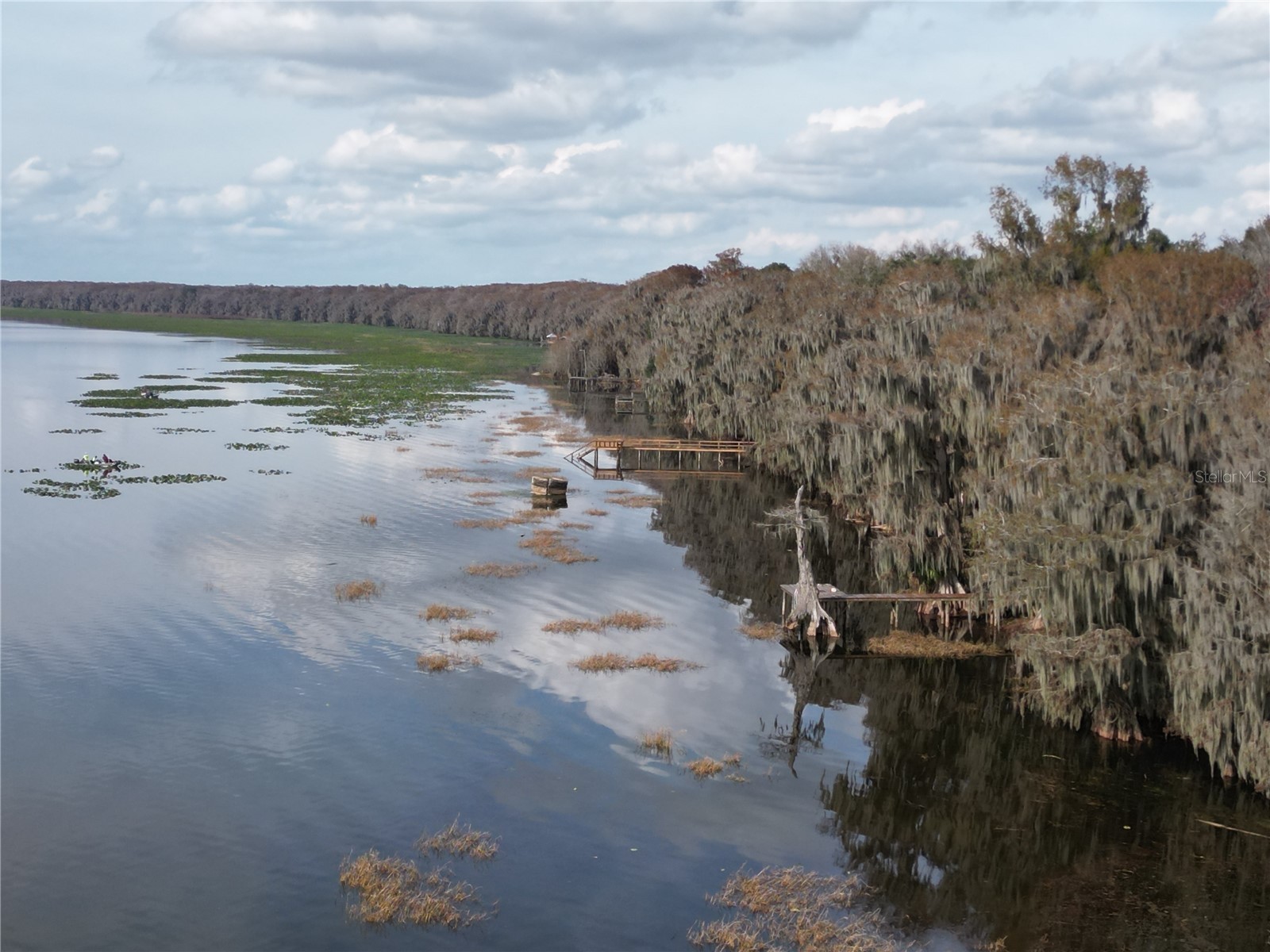 13813 SE 201st Terrace Hawthorne FL 32640 GC536467 image3